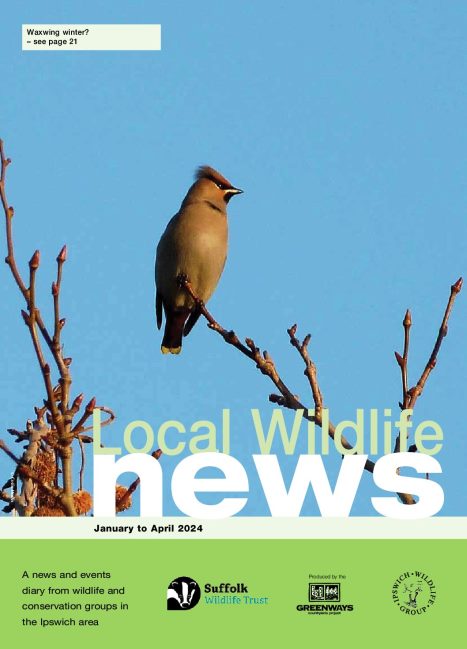 Local Wildlife News Winter 2023 - 2024